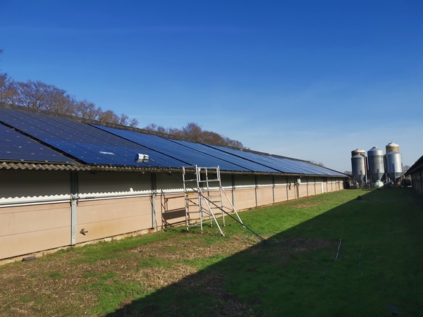 Reinigung-Solaranlagen-IMG_20210220_115238-Galerie